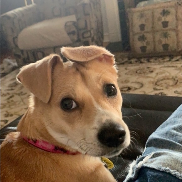 Meet your Posher, Jackson - Picture 1 of 1